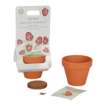 LD9131-plant-pot-strawberry_1