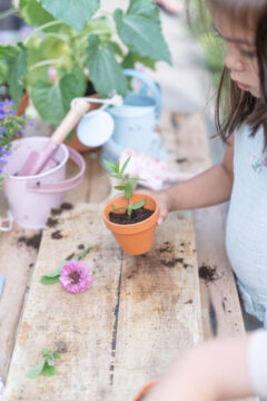 LD9108-Product-Bucket-Fairy-Garden-2_1