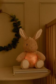 cuddle-bunny-light-and-sound-ld8441-4-Large-600×400-1