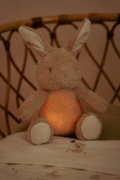 cuddle-bunny-light-and-sound-ld8441-4-Large-600×400-1