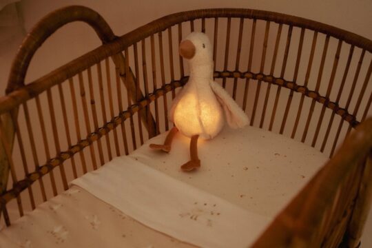 cuddle-goose-light-sound-ld8440-7-Large