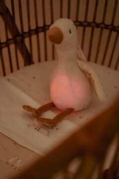 cuddle-goose-light-sound-ld8440-7-Large