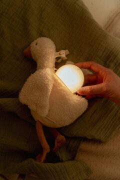 cuddle-goose-light-sound-ld8440-7-Large