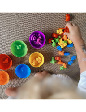 woopie-montesssori-educational-game-color-sorter-vehicles-44-pcs